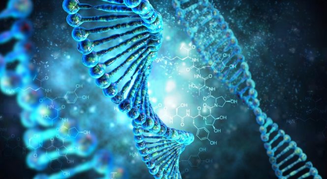 Как устроена ДНК? Как работают лекарства? Занятия для детей в Твери